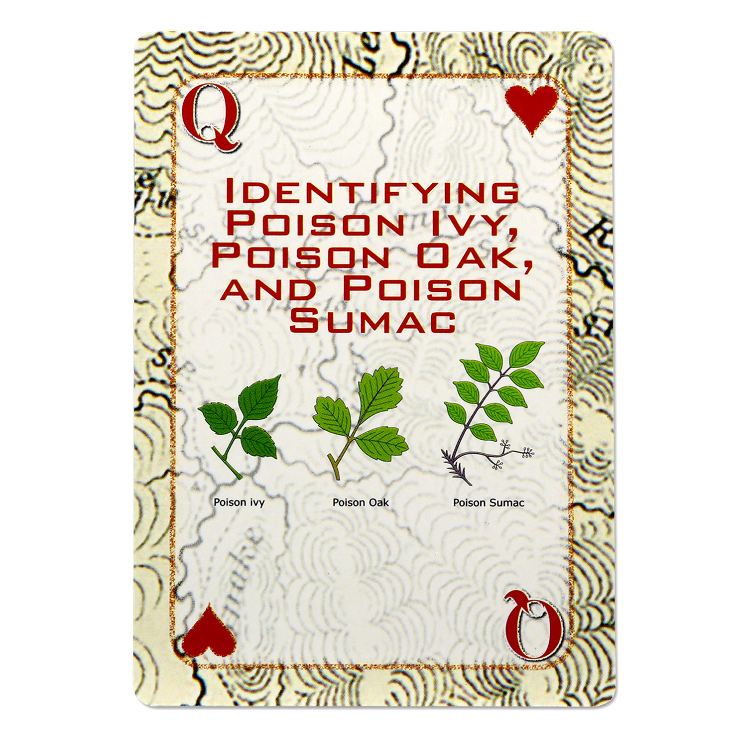 Deck of Survival Playing Cards - Image 3
